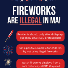 Leave Fireworks to the Professionals!